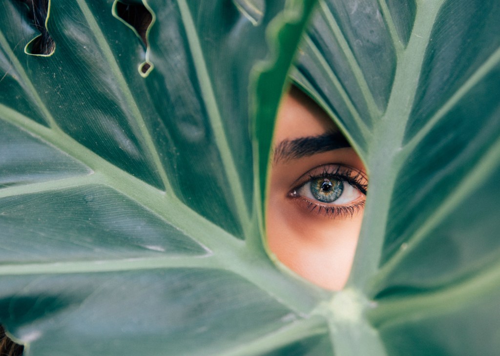 In brief — Clean British beauty&nbsp;brands