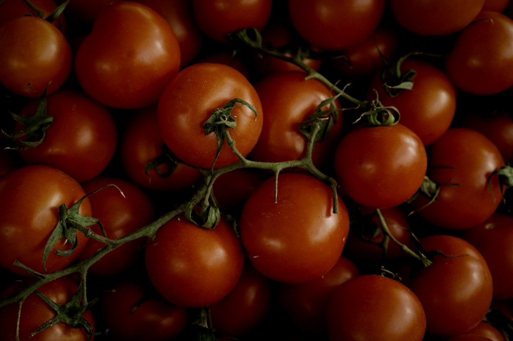 Tomato curry w/ black mustard&nbsp;seeds